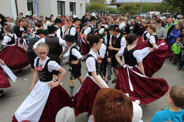 20170501-maibaum-007