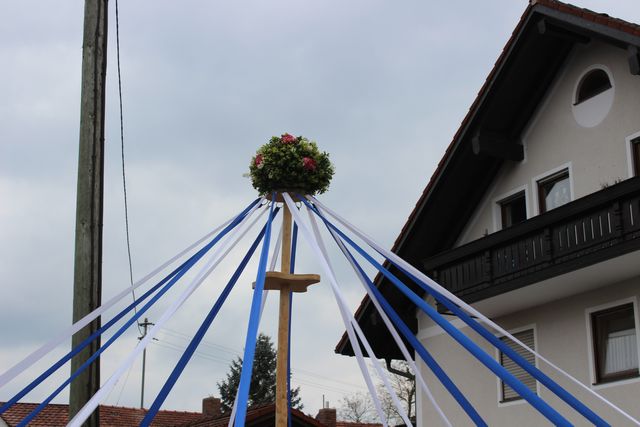 20170501-maibaum-008