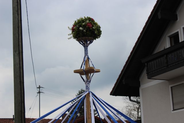 20170501-maibaum-009