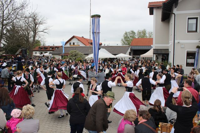 20170501-maibaum-011