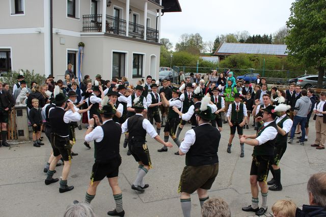 20170501-maibaum-017